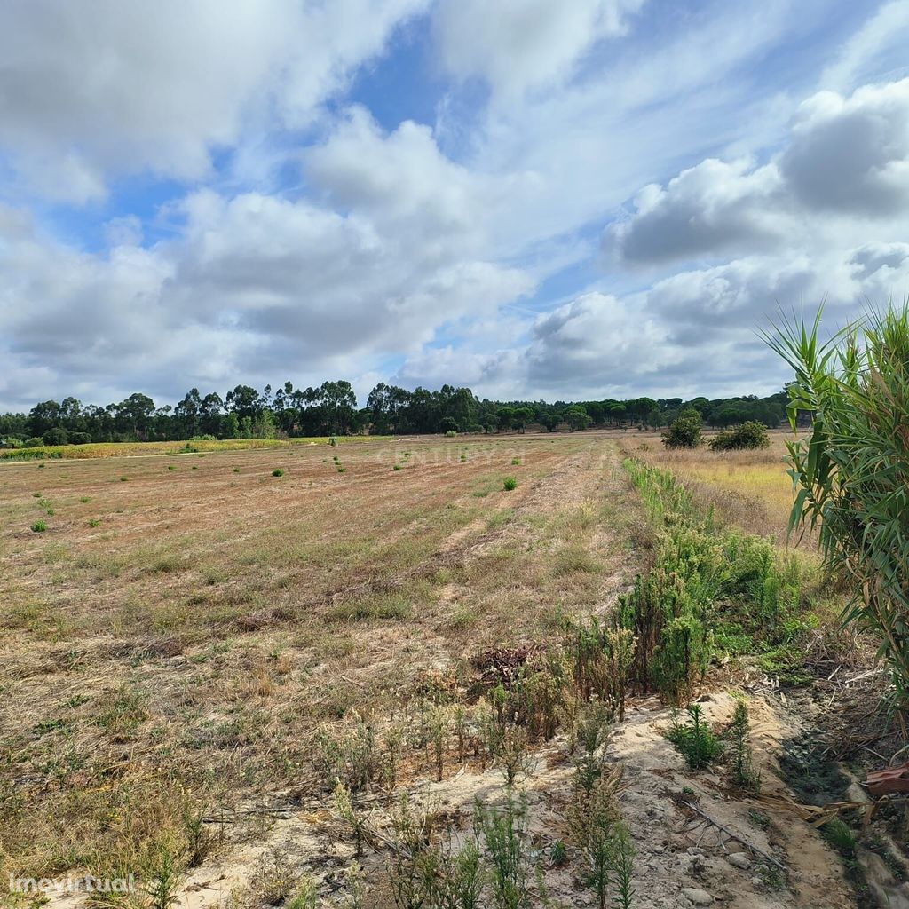 Terreno nos Foros da Branca - Coruche