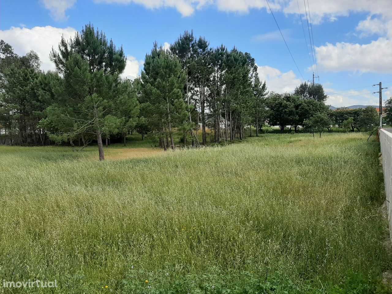 Terreno de 6360m2 | Porto de Mós | Viabilidade de Construção