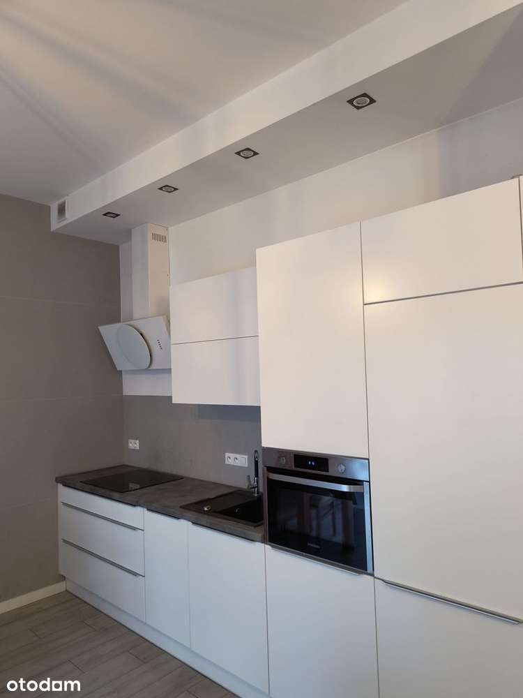 Mieszkanie Ostrówek ,Śródka, centrum Poznania-2