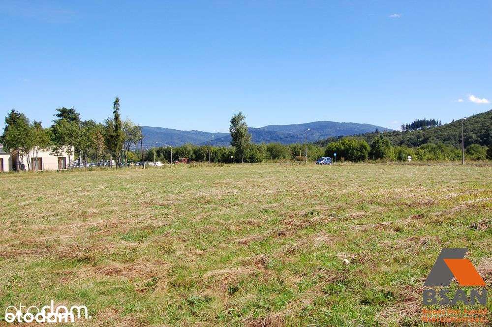 Działka Inwestycyjna 50 Arów - Olszówka Górna - Pełny obrazek: 5/13