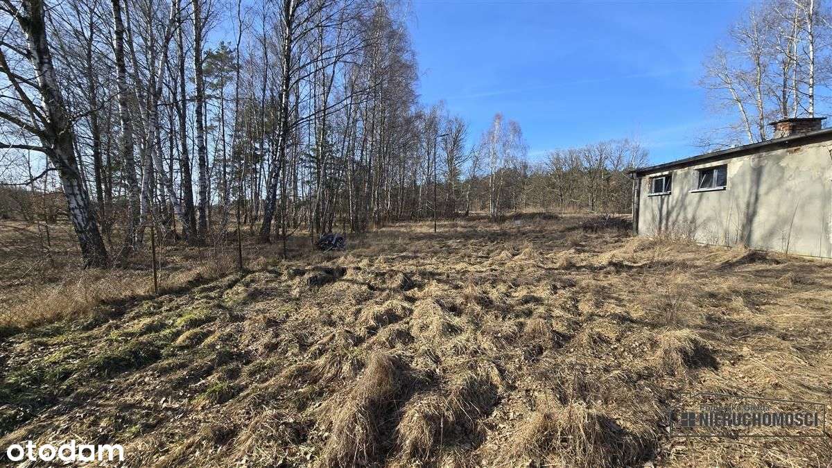 Działka budowlana blisko jeziora i lasu - Nobliny-13