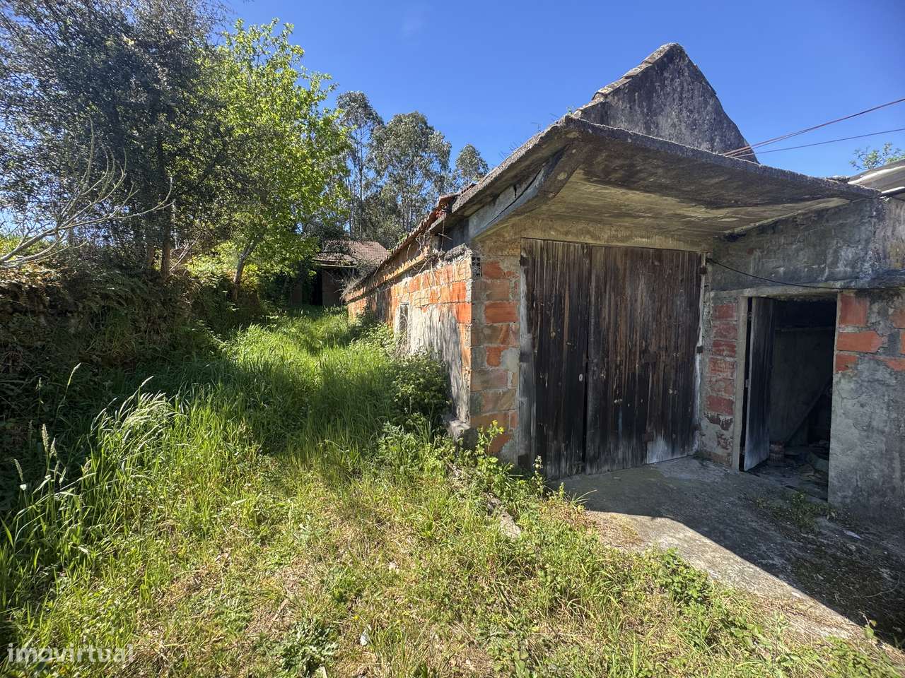 Quintinha – Oliveira de Frades-10