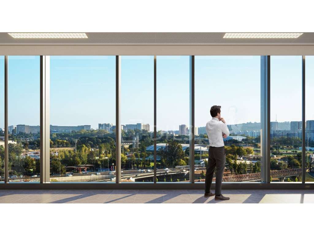 Escritório para arrendamento - Campo Novo - Grande imagem: 4/15