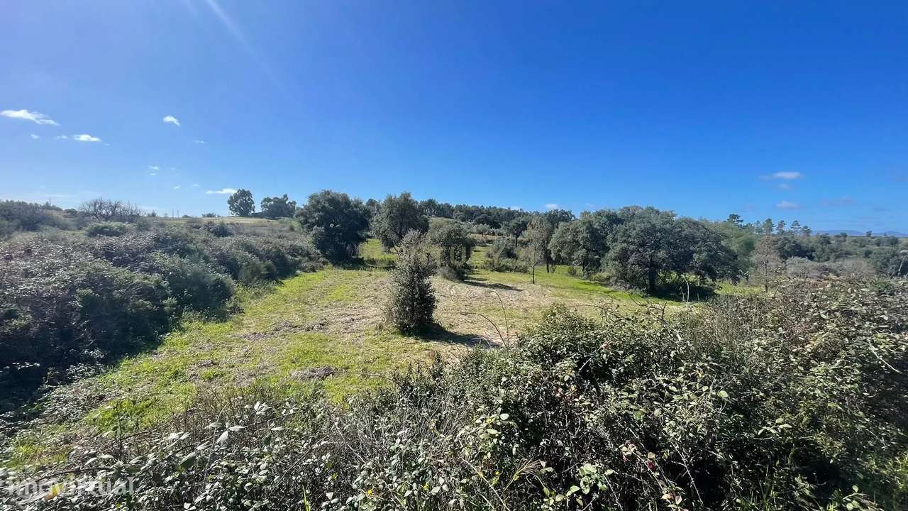 Terreno Rústico | Ninho do Açor/Sobral do Campo, Castelo Branco - Grande imagem: 2/22