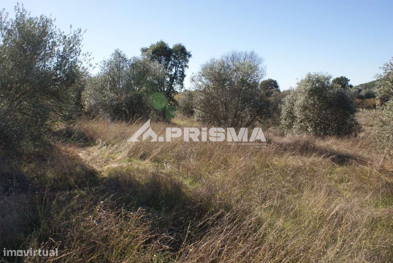 Oportunidade Única às Portas de Castelo Branco!-5