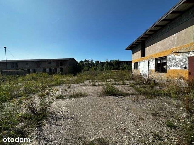 Działka 8400m2, budynki 800m2, Zamoście Kolonia - Pełny obrazek: 4/20