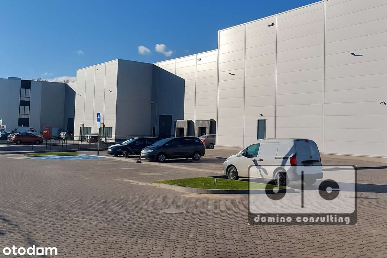 Nowa hala do wynajęcia w Zabrzu. KSSE. - Pełny obrazek: 2/4