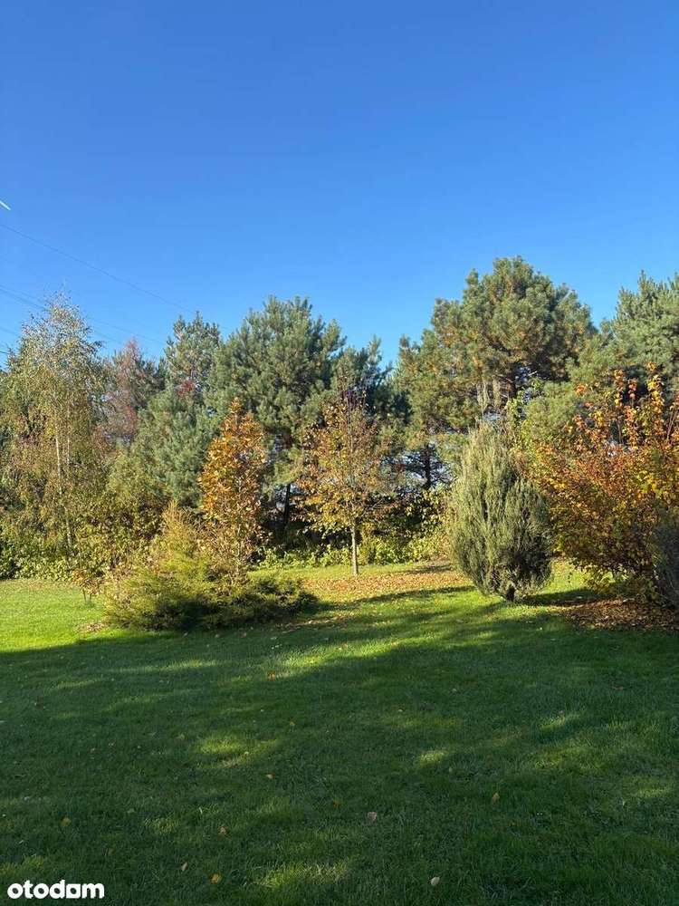 Piękne siedlisko z potencjałem w Dąbrowie 10 km od Poznania-4