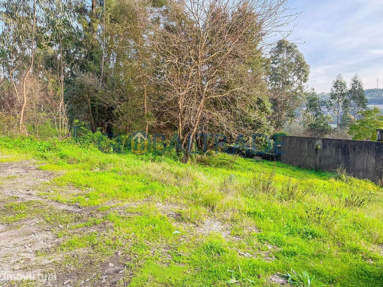 Terreno Urbano 1 225m² em Melres-1