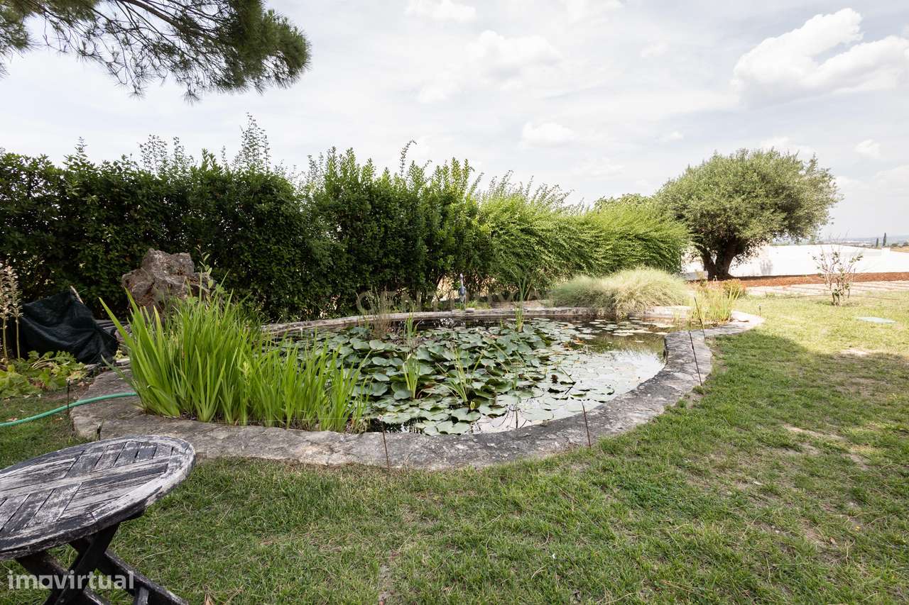 Propriedade Única com Piscina, Lago e Produção de Azeite-48
