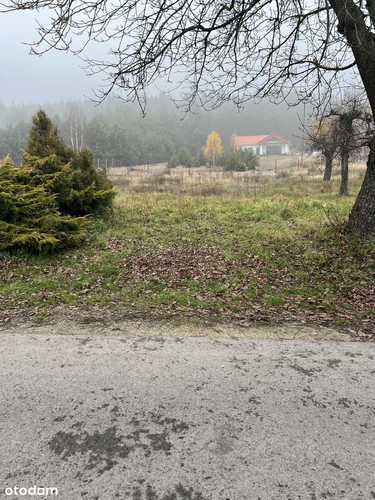 Atrakcyjna działka | Przykory | OKAZJA-2