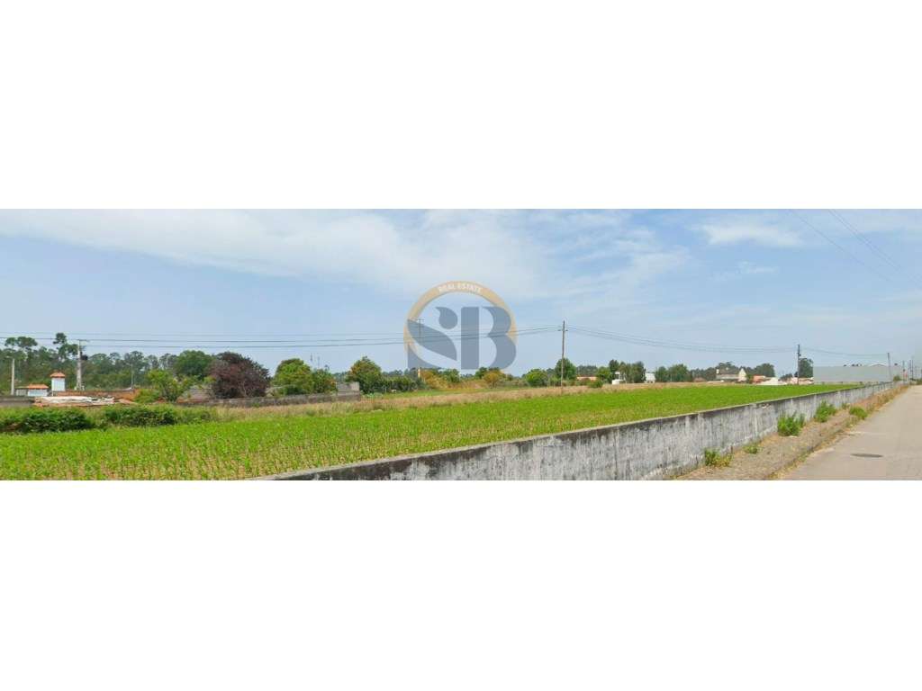 Terreno Construção Arada Ovar - Grande imagem: 5/8