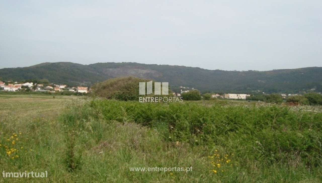Terreno Agrícola - Afife - Grande imagem: 4/6