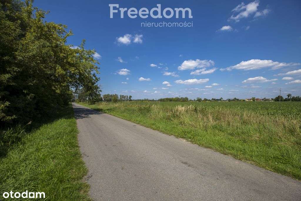 Działka 6,33 ha obok pola golfowego Trzciana-11