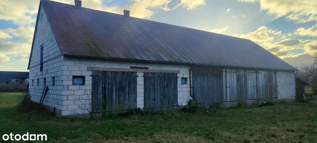 NIERUCHOMOŚĆ INWESTYCYJNA – 3,3 HA – MOŻLIWOŚĆ OSIEDLA 15–20 DZIAŁEK - Pełny obrazek: 5/13