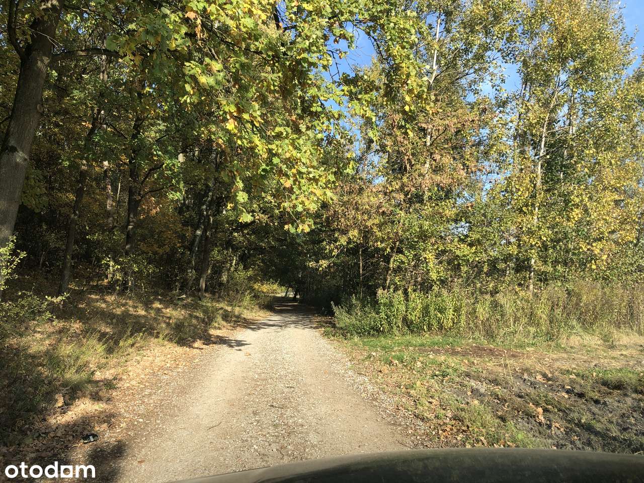 Działka Przy Parku w Powsinie | 0% Prowizji-4