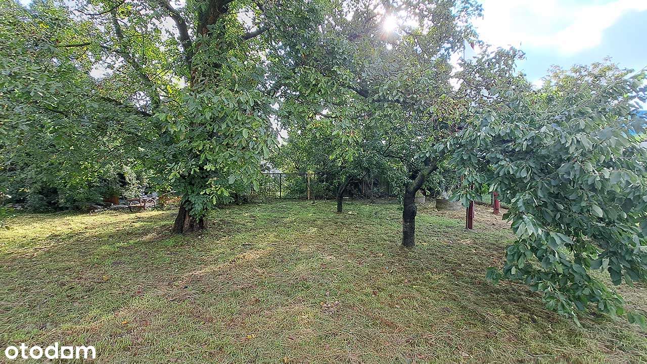 Dom pod inwestycję, centrum, dochodowy, duża działka!-19