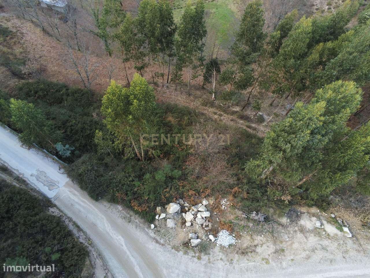 Quinta com 23.000m² à Venda no Gerês para Construção de Moradia ou Pro - Grande imagem: 5/23