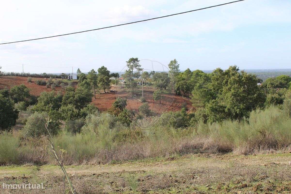 Terreno  para venda-7