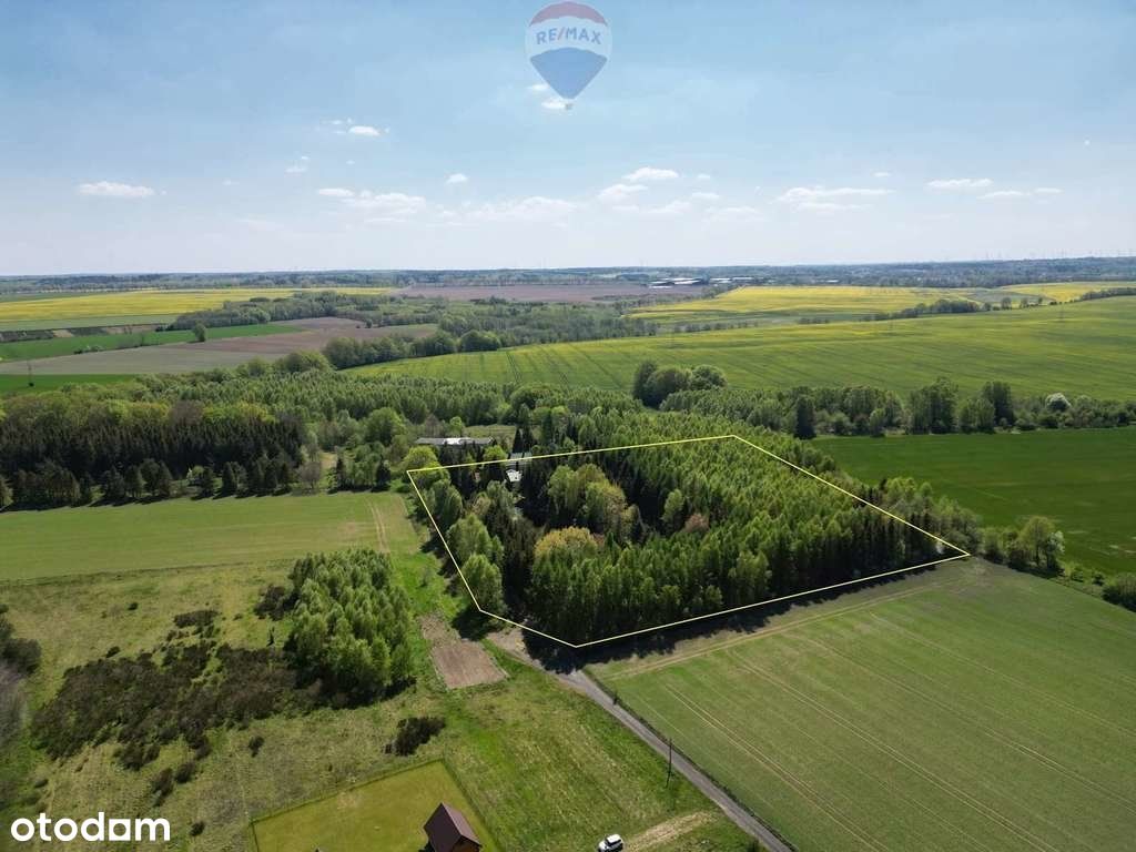 Wyjątkowe miejsce nad morzem w gminie Choczewo.