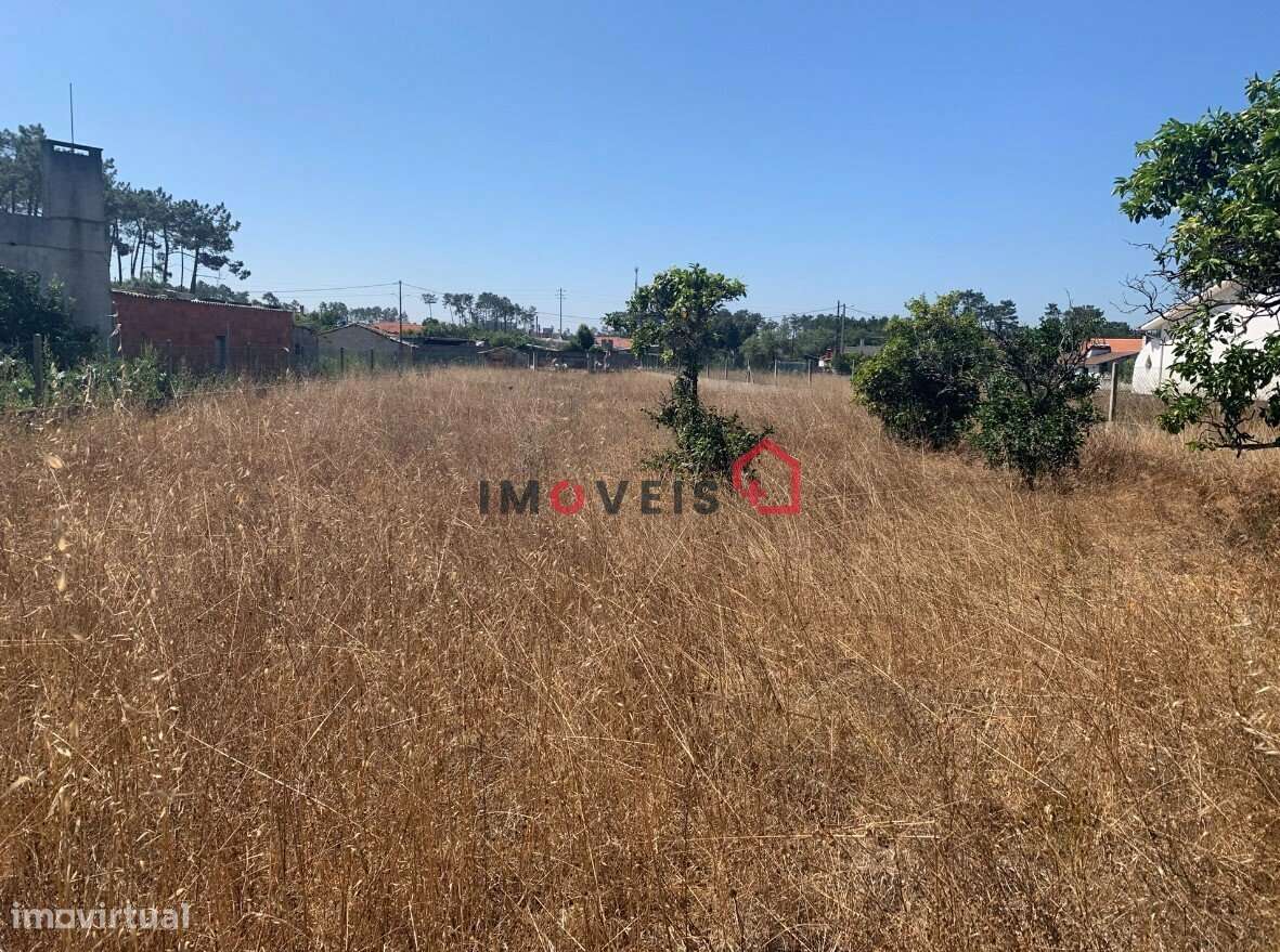 Terreno para construção - Grande imagem: 2/2