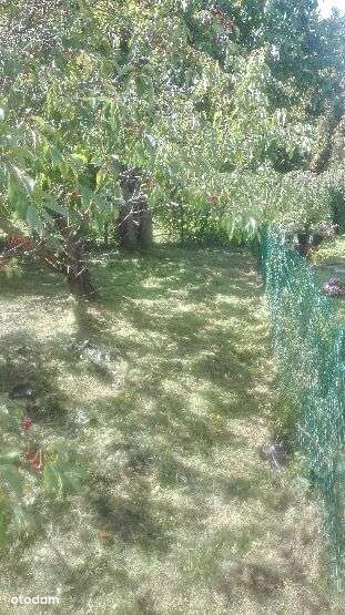 Działka ogrodnicza-0