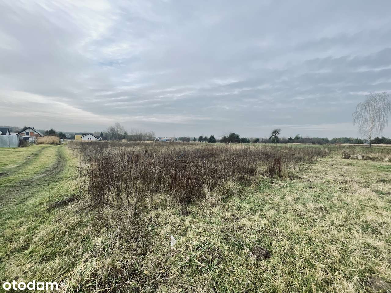 Prąd, woda, kanalizacja | Droga utwardzona | Prostokąt | Płaska | Park-2