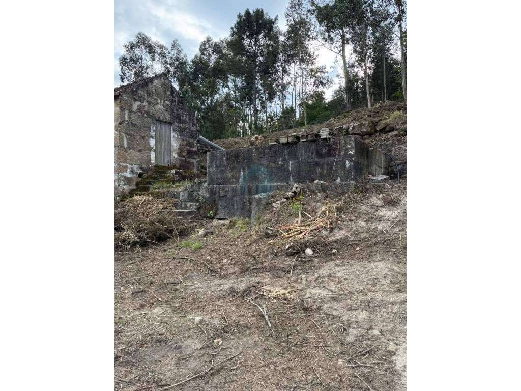 Quinta com Potencial em Marco de Canaveses-25