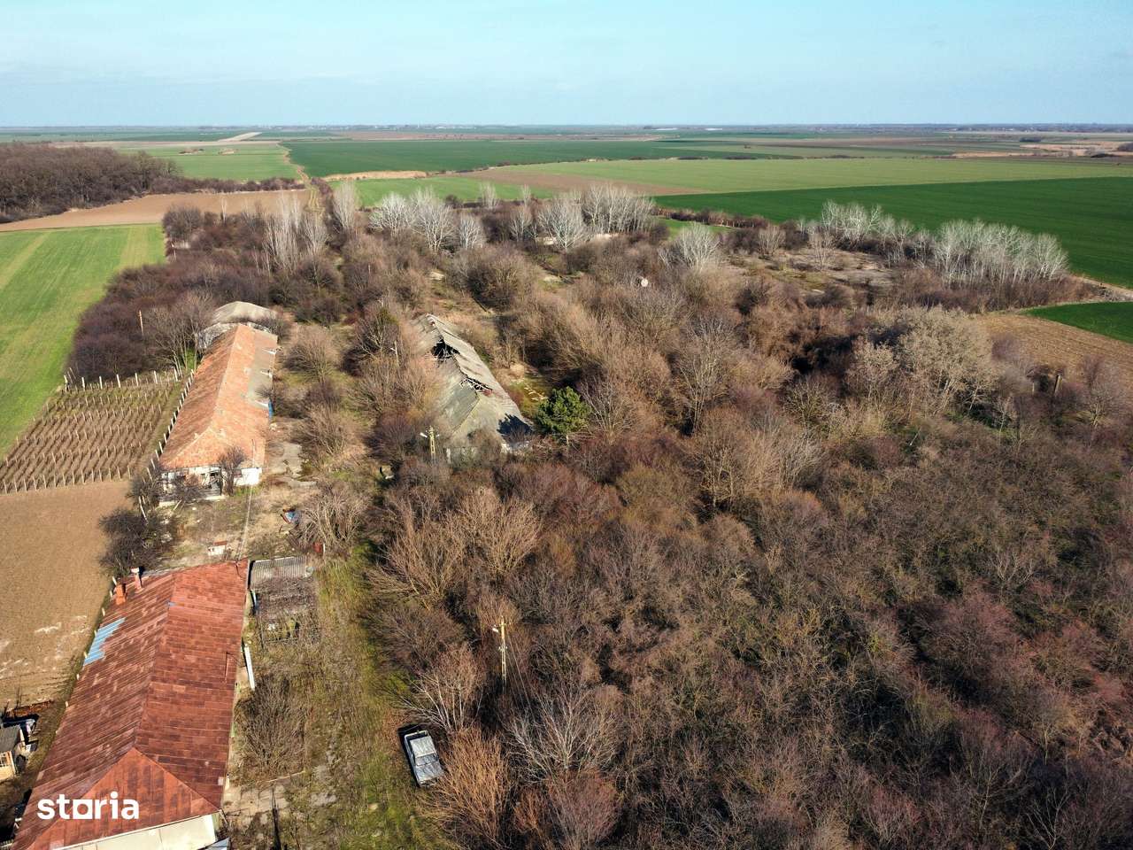 Ferma si livada de meri in judetul Ilfov-9