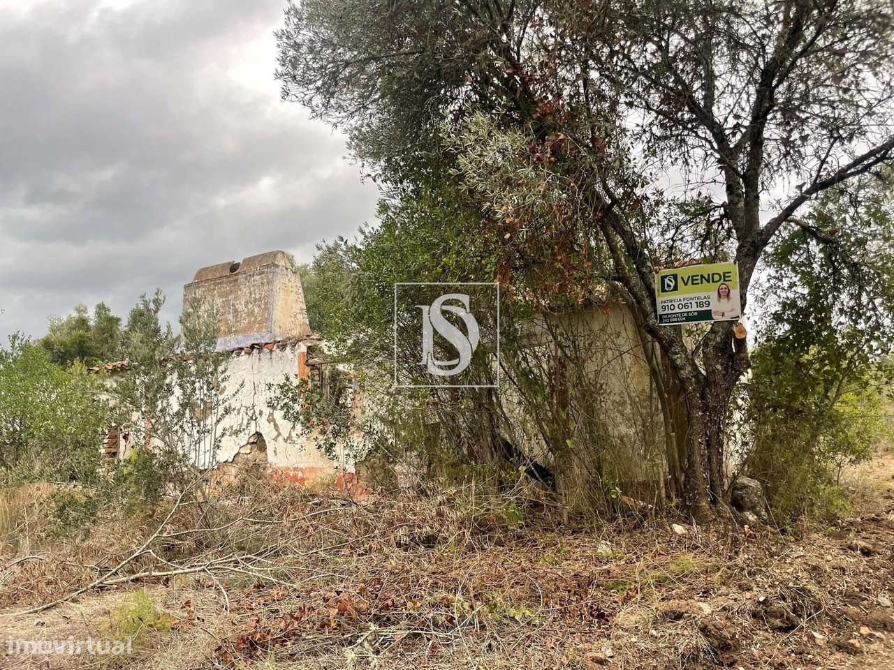 Quintinha em Montargil-19