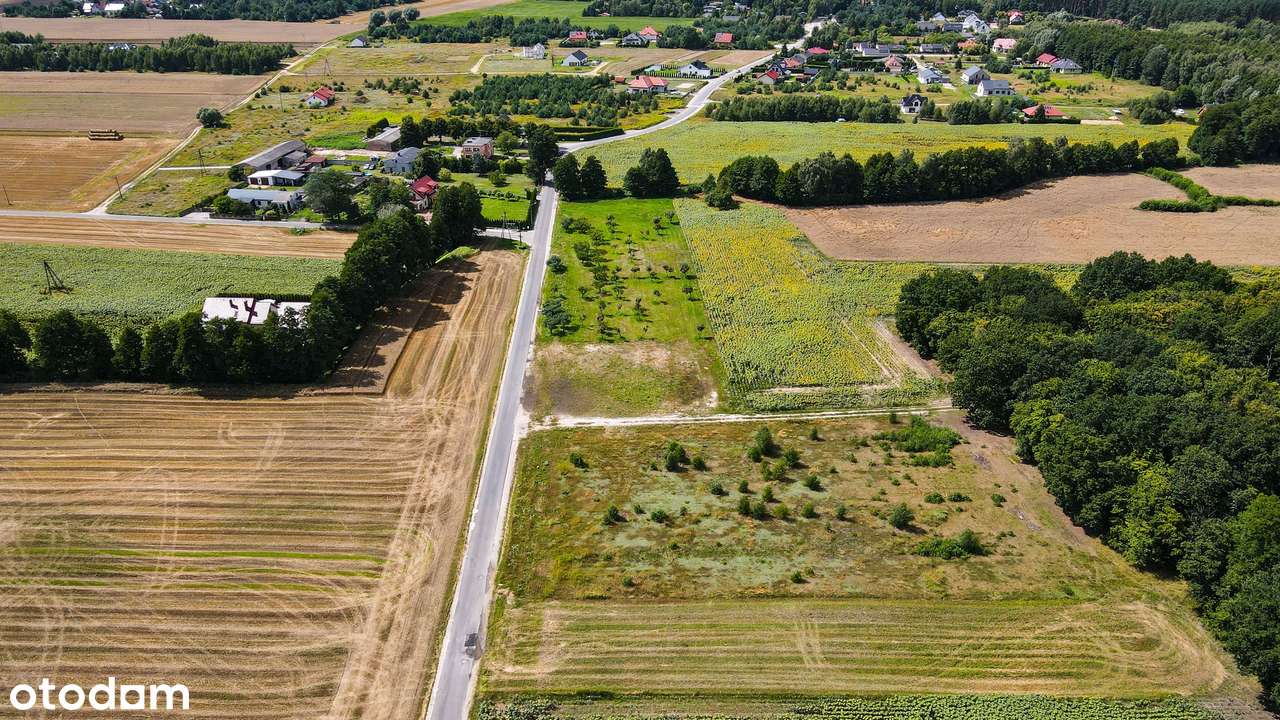 Działka budowlana przy lesie , Imielno powiat Gnieźnieński - Pełny obrazek: 4/8