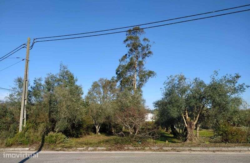 Vende-se Terreno Urbano à entrada da Vila da Lousã - Grande imagem: 5/7