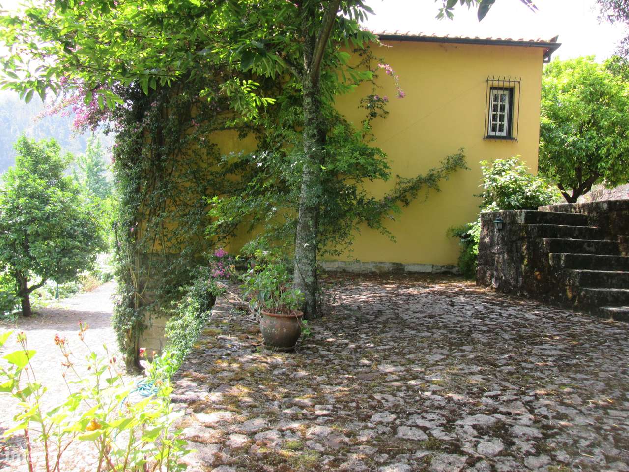 Quintinha no Minho Ponte de Lima * 10.000 m2 * a 90 Km do Porto-55