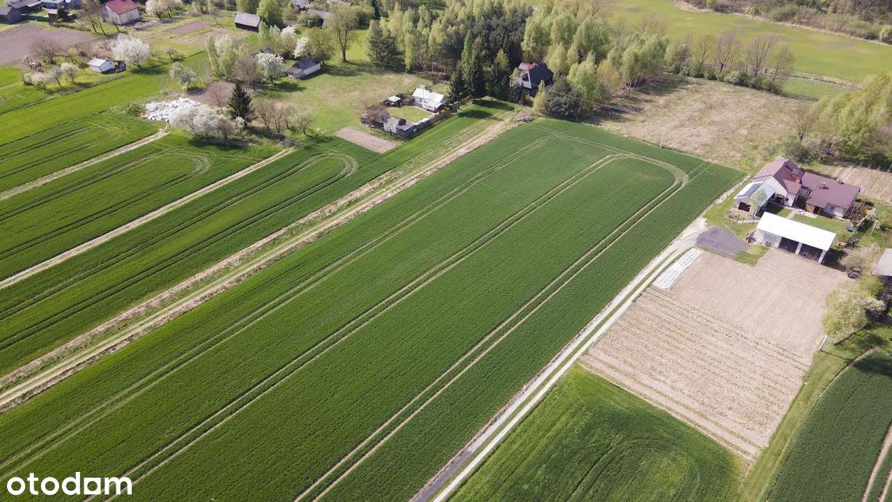 Działka budowlana, 854m², blisko lasu i rzeki, Niedrzwica Duża - Pełny obrazek: 5/7