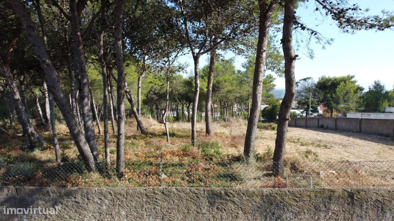 Terreno Urbano com 7.586 m2 para Construção em Birre, Cascais - Grande imagem: 5/11