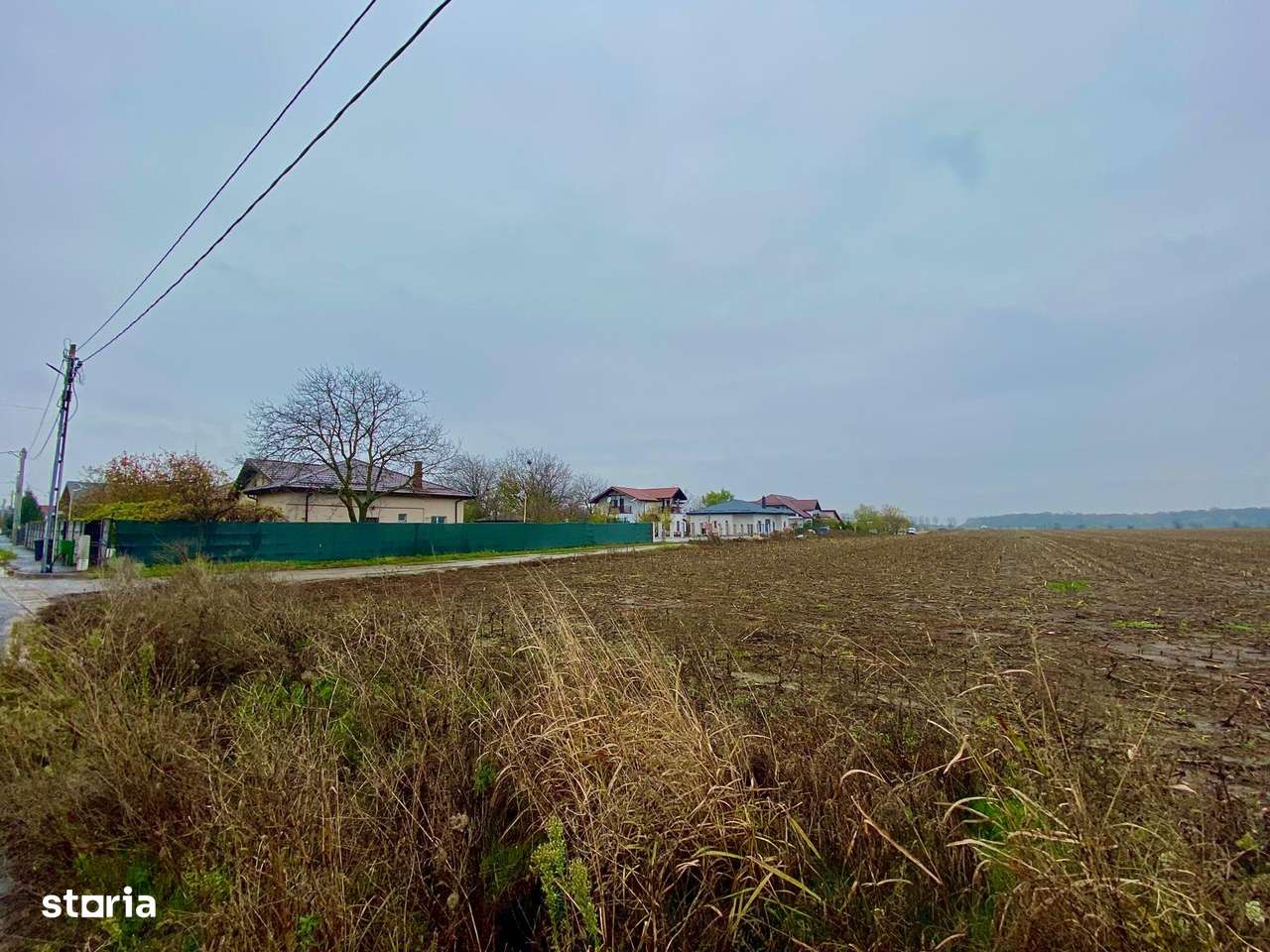 Teren intravilan Dascalu 18.500 mp – utilitati si drum asfaltat - Imagine principală: 1/4