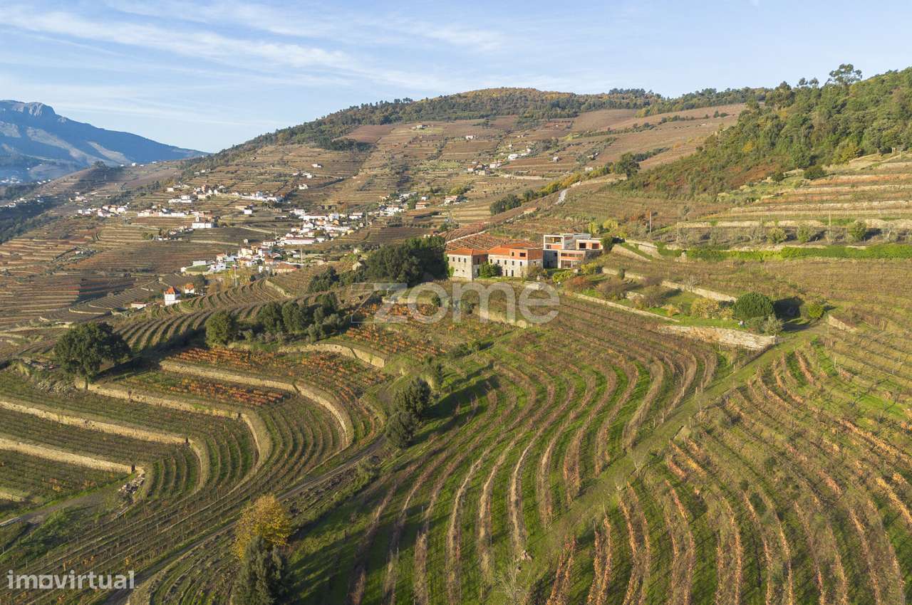 Quinta em Mesão Frio (UNESCO) com 6,6ha - Grande imagem: 4/39