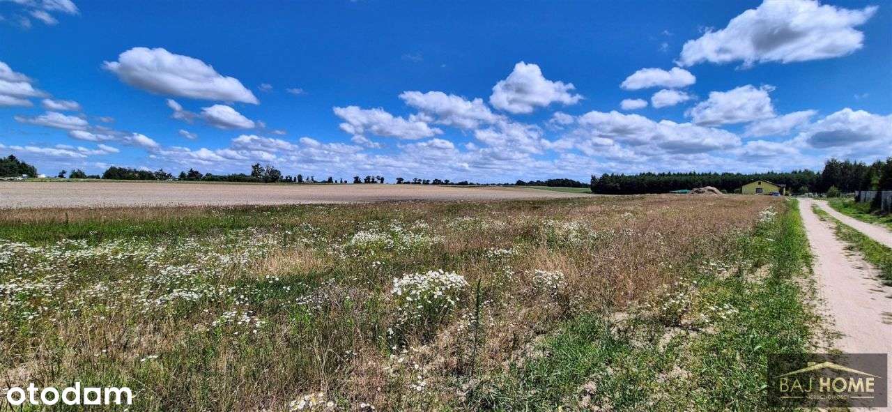 Rogóźno , działka na sprzedaż-0