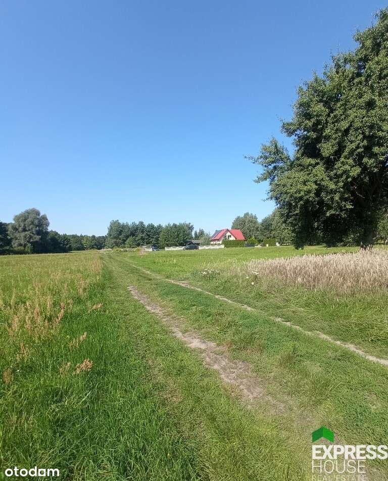 Działka rolna 3 km od Aleksandrowa Łódzkiego - Pełny obrazek: 3/4