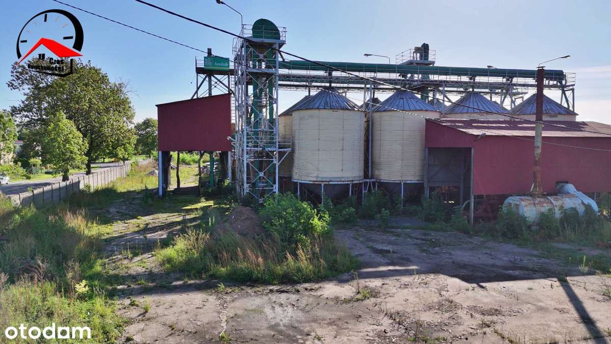 Obiekt magazynowo-produkcyjny gm. Radziejów - Pełny obrazek: 5/20