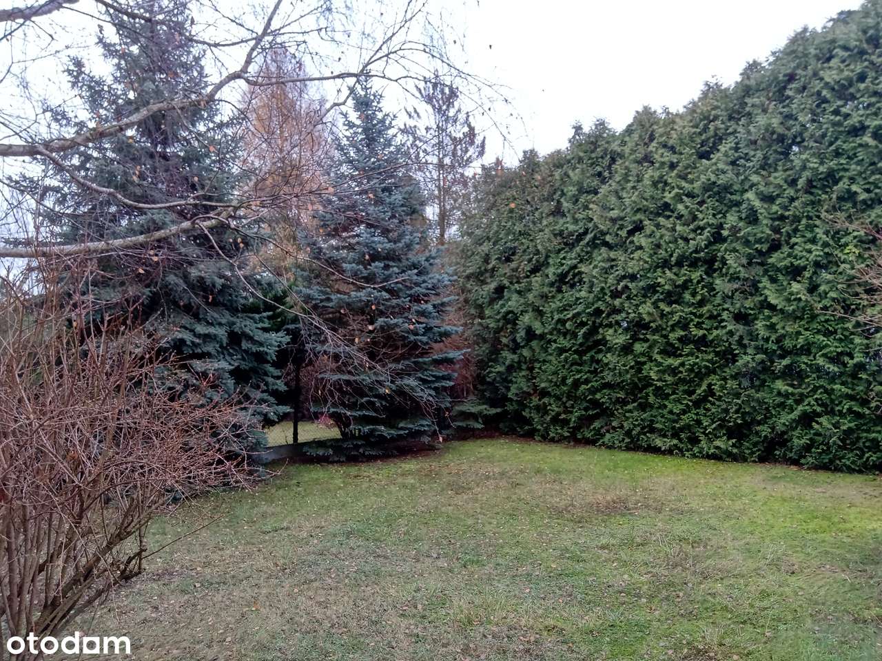 Bezpośrednio pół bliźniaka w Nadarzynie - Pełny obrazek: 3/18