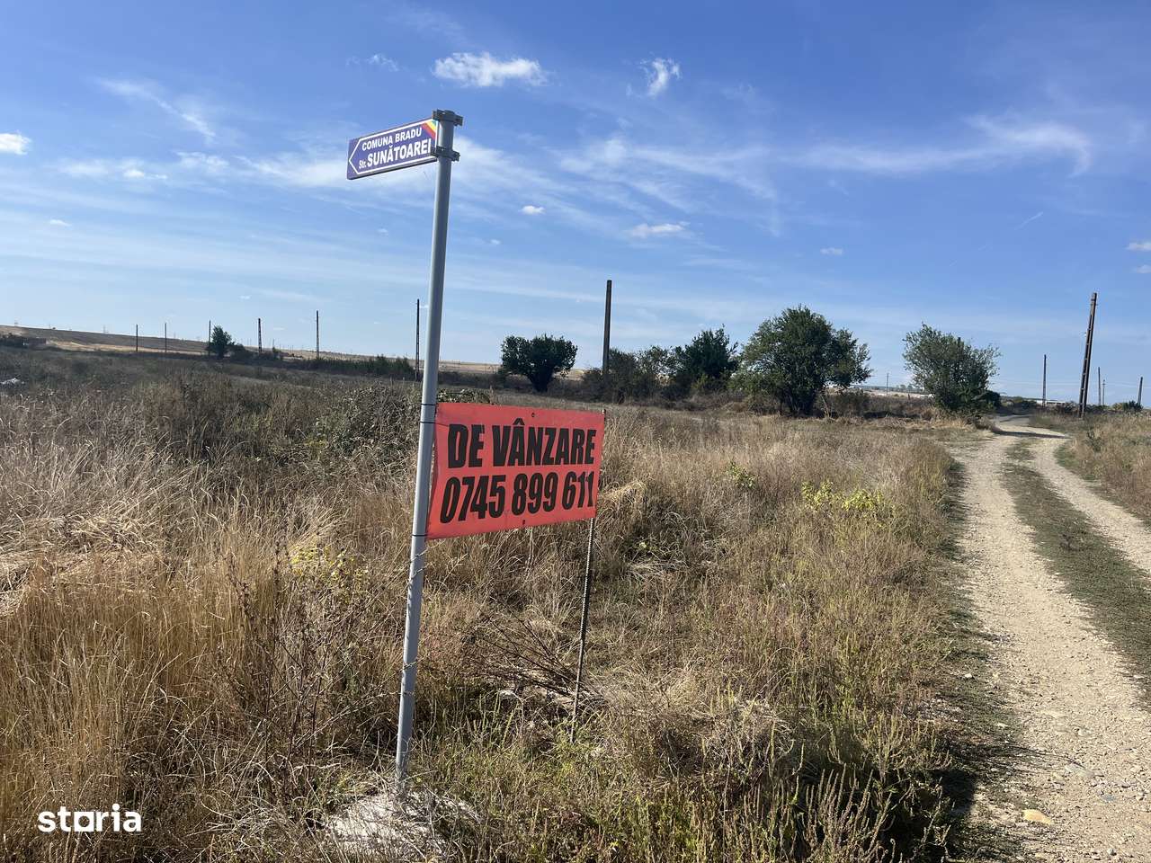 Teren Bradu 470 mp-1