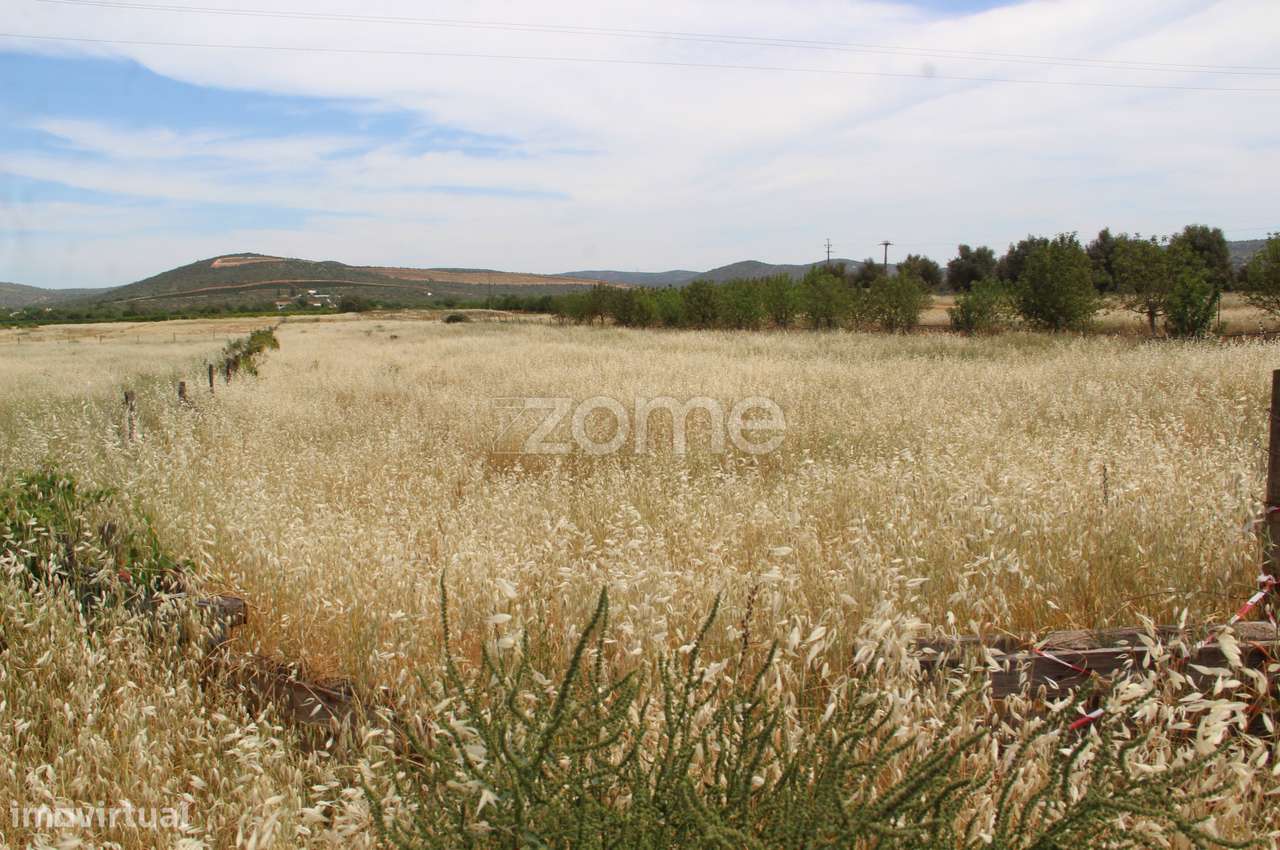 Terreno rústico com uma área generosa de 3 Hectares totalmente plan... - Grande imagem: 3/15