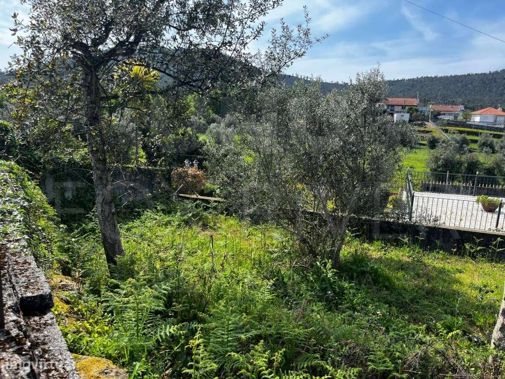 Terreno para construção - Nogueira - Grande imagem: 2/11