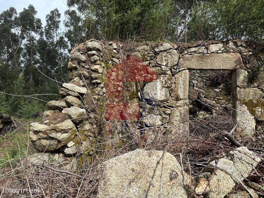 Ruina em Pedregais - Grande imagem: 4/24