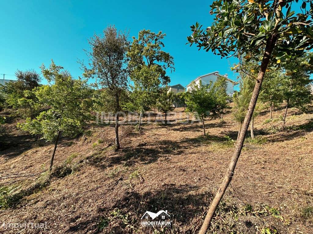 Terreno rústico de 8000 m2 com viabilidade de construção a cerca de...-15