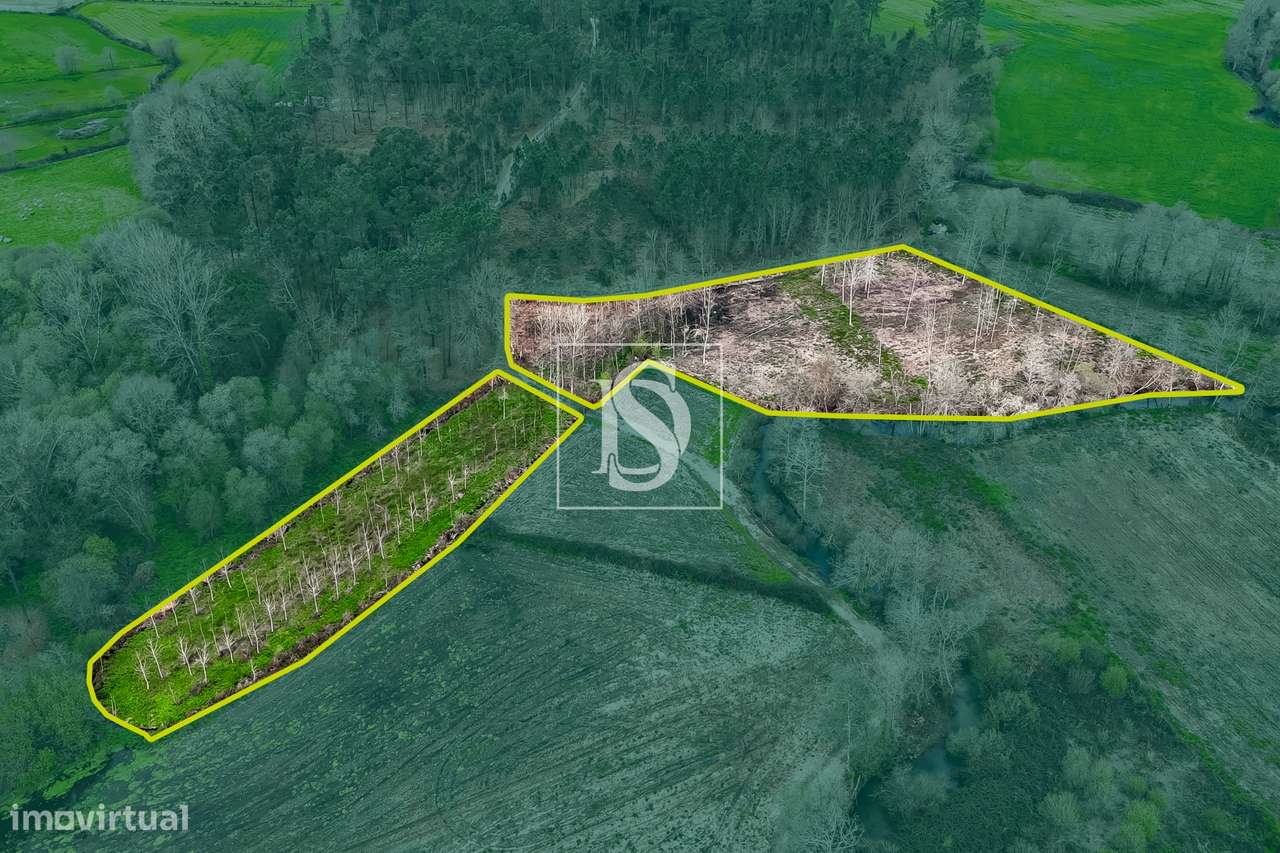 Terreno Rústico  Venda em Associação de freguesias do Vale do Neiva,Po-13
