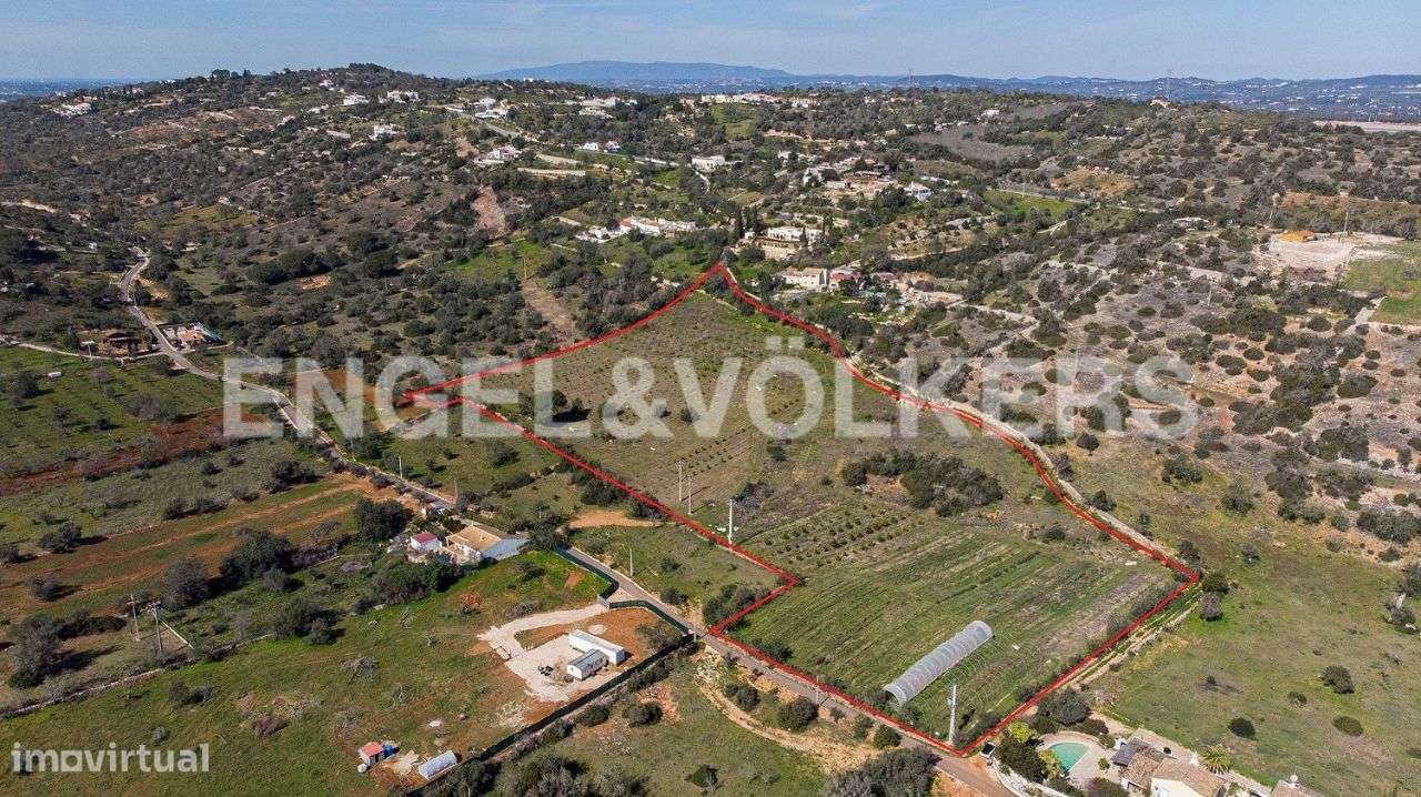 Terreno com Potencial para Agricultura Biológica - Grande imagem: 4/4