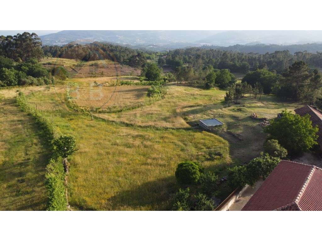 Quinta Rural em Leiradas, Rio Douro, Cabeceiras de Basto-45