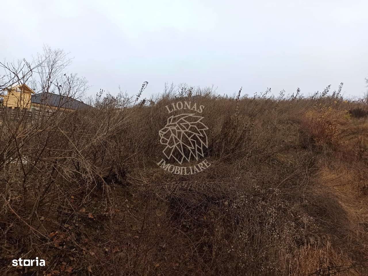 Teren intravilan 600 mp-ideal casa-Valea Sigmirului - Imagine principală: 4/7